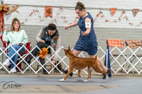 20261022-DSC00008