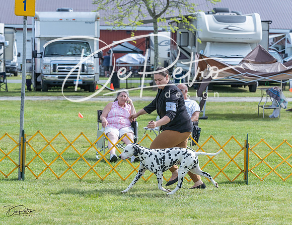 20230513-DSC00292