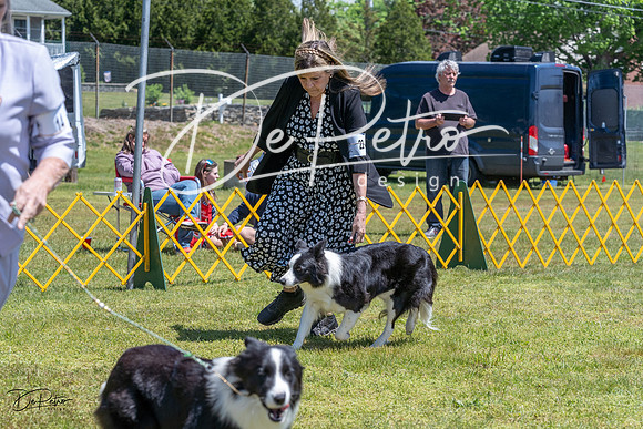 20230514-DSC04889