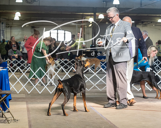 20230402-DSC09205