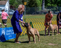 20230514-DSC03577