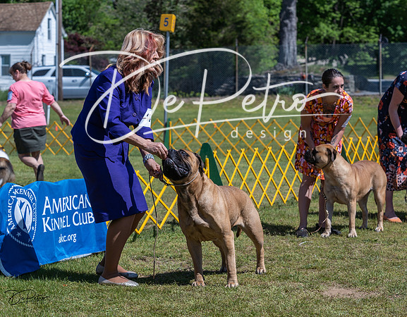 20230514-DSC03577