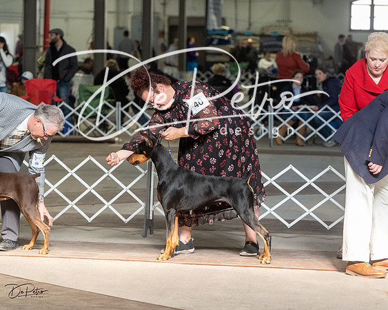 20230402-DSC08854