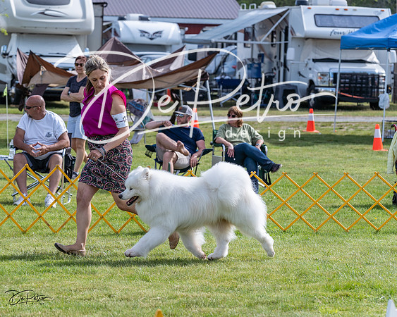20230513-DSC00834