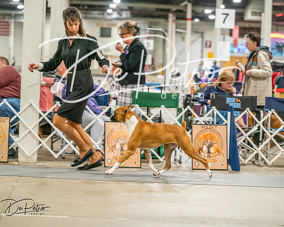 20261022-DSC01673