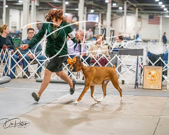 20261022-DSC01857
