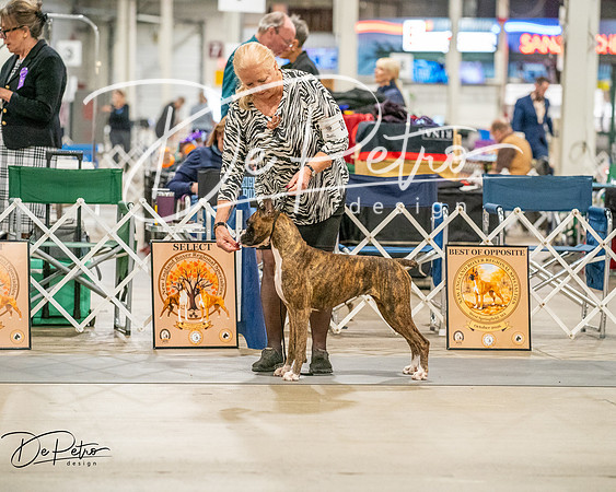 20261022-DSC01697
