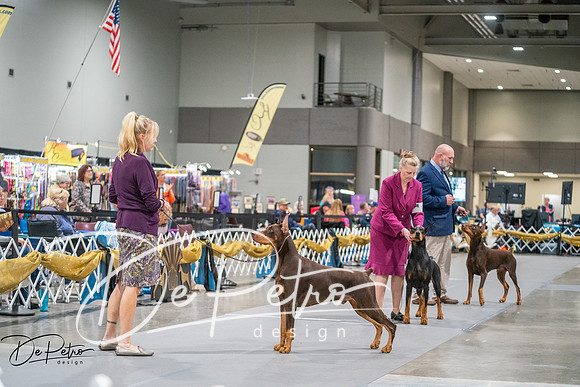 20260926-DSC04473