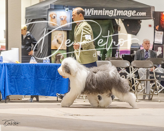 20230401-DSC07786
