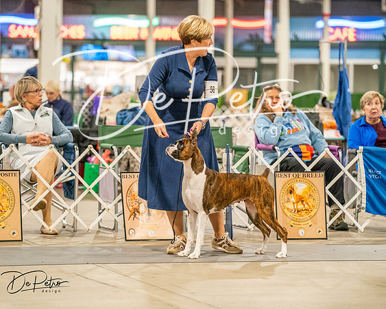 20261022-DSC01782