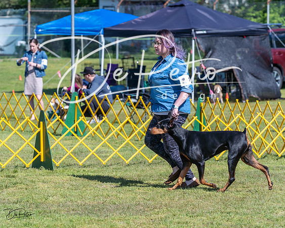 20230514-DSC03463