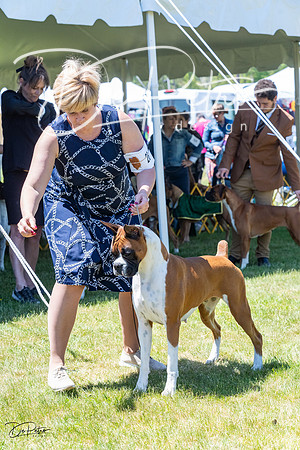 20230514-DSC04488