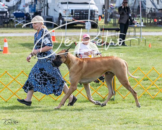 20230513-DSC00756