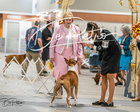 20261022-DSC03051