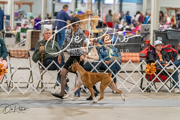 20261023-DSC05186