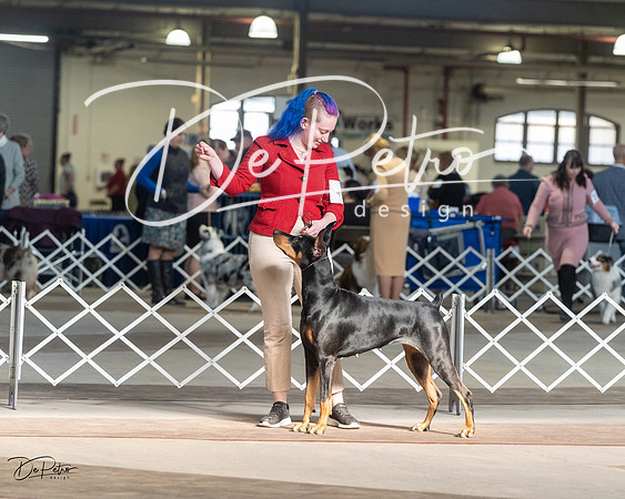 20230402-DSC08781