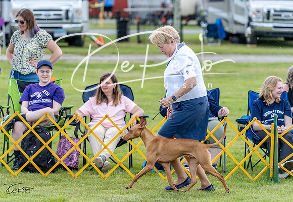 20230512-DSC03677