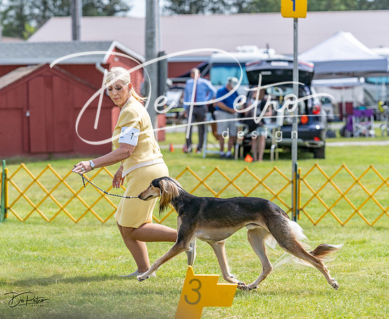 20230513-DSC09538