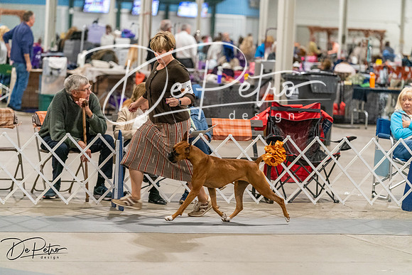 20261023-DSC05017