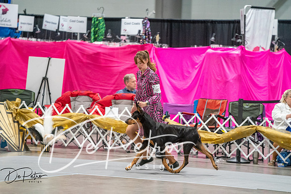 20260926-DSC04811