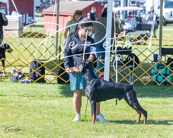20230514-DSC02934