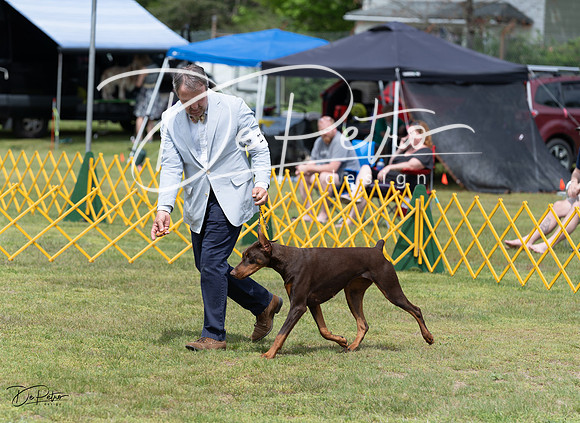 20230513-DSC08349