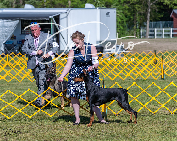 20230514-DSC02921