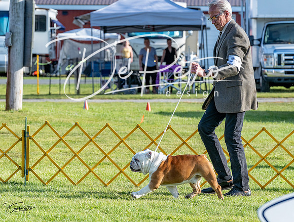 20230513-DSC02538