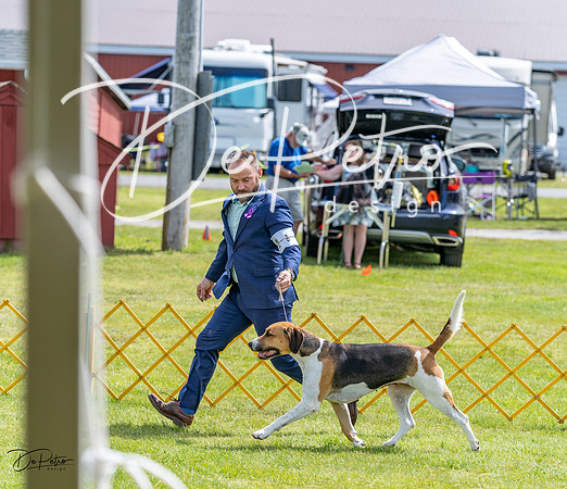 20230513-DSC09493