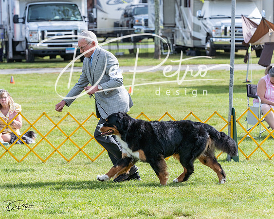 20230513-DSC00921