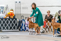 20261023-DSC04885