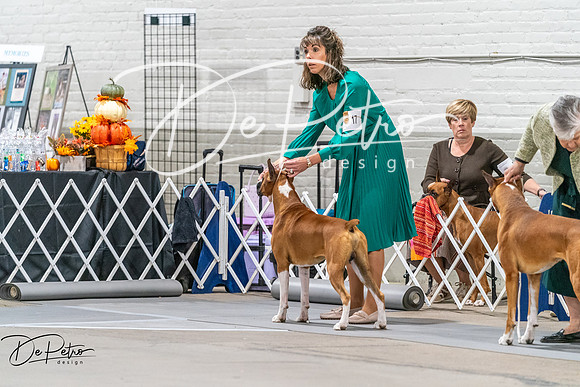 20261023-DSC04885