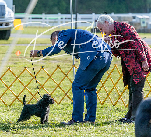 20230513-DSC02579
