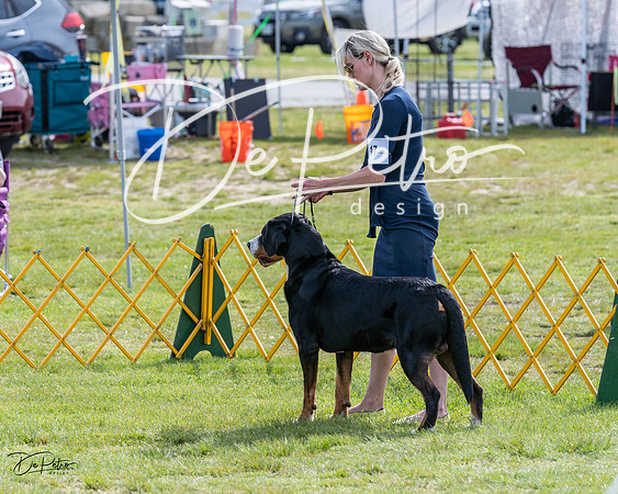 20230513-DSC00784