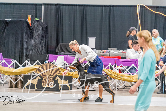 20260930-DSC06750