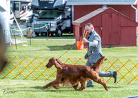 20230512-DSC05593