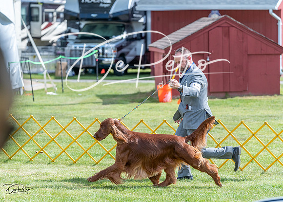 20230512-DSC05593