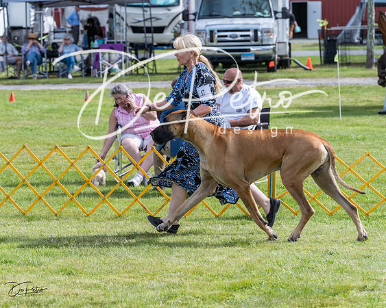 20230513-DSC00502