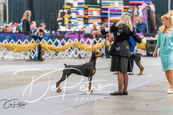 20260930-DSC06944