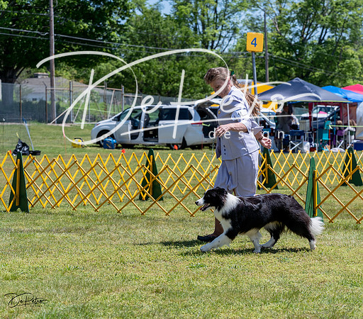 20230514-DSC04869