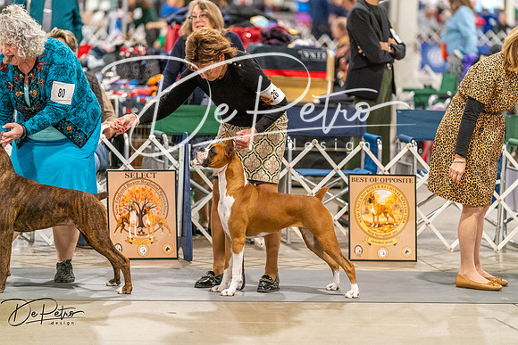20261022-DSC00235