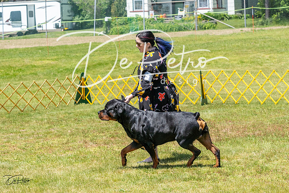 20230514-DSC07809