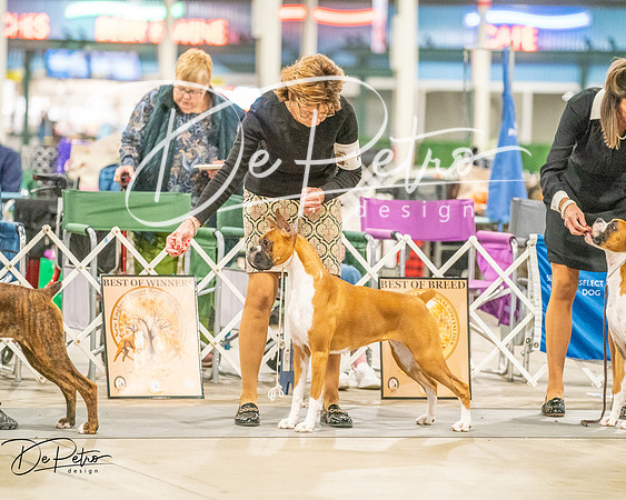 20261022-DSC01891
