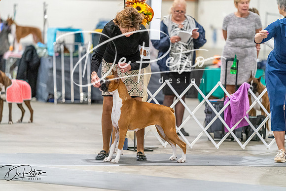 20261022-DSC00337