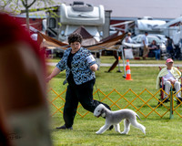 20230513-DSC00010