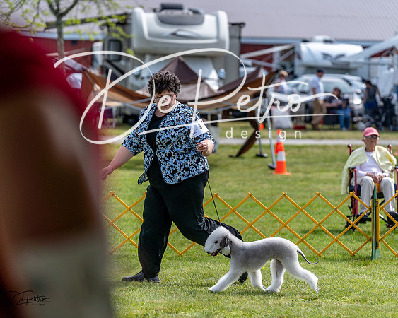 20230513-DSC00010