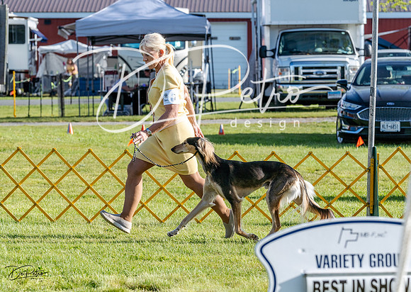 20230513-DSC02391