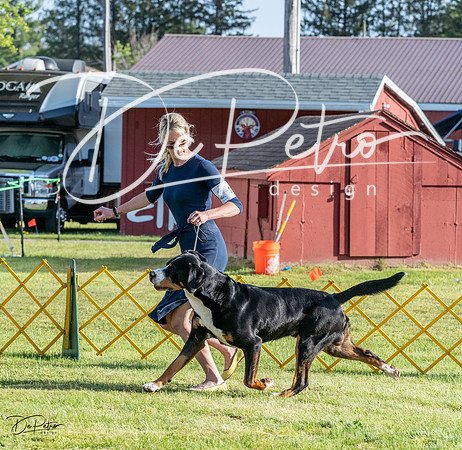 20230513-DSC02369