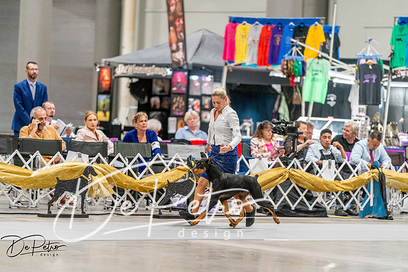 20260930-DSC06983