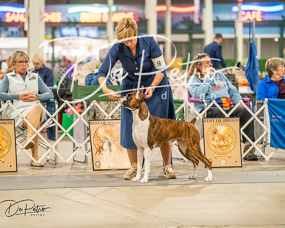20261022-DSC01785